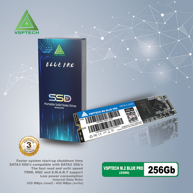 SSD VSPTECH Blue Pro M.2 (2280) 256Gb