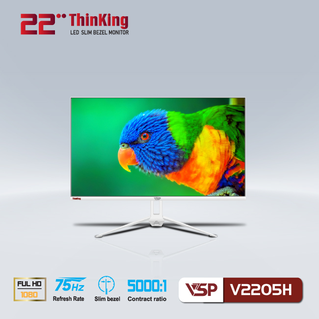 Màn hình LED monitor VSP 22inch V2205H - White