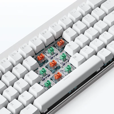 Mixed Magnetic Switch