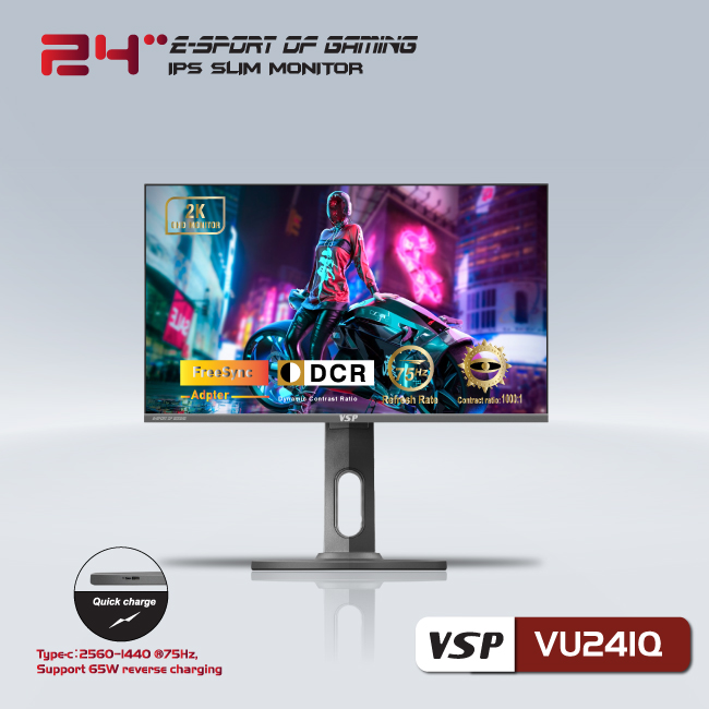 Màn hình phẵng  VSP 24inch 2K eSport Gaming VU241Q - QHD /USB-C Type-C